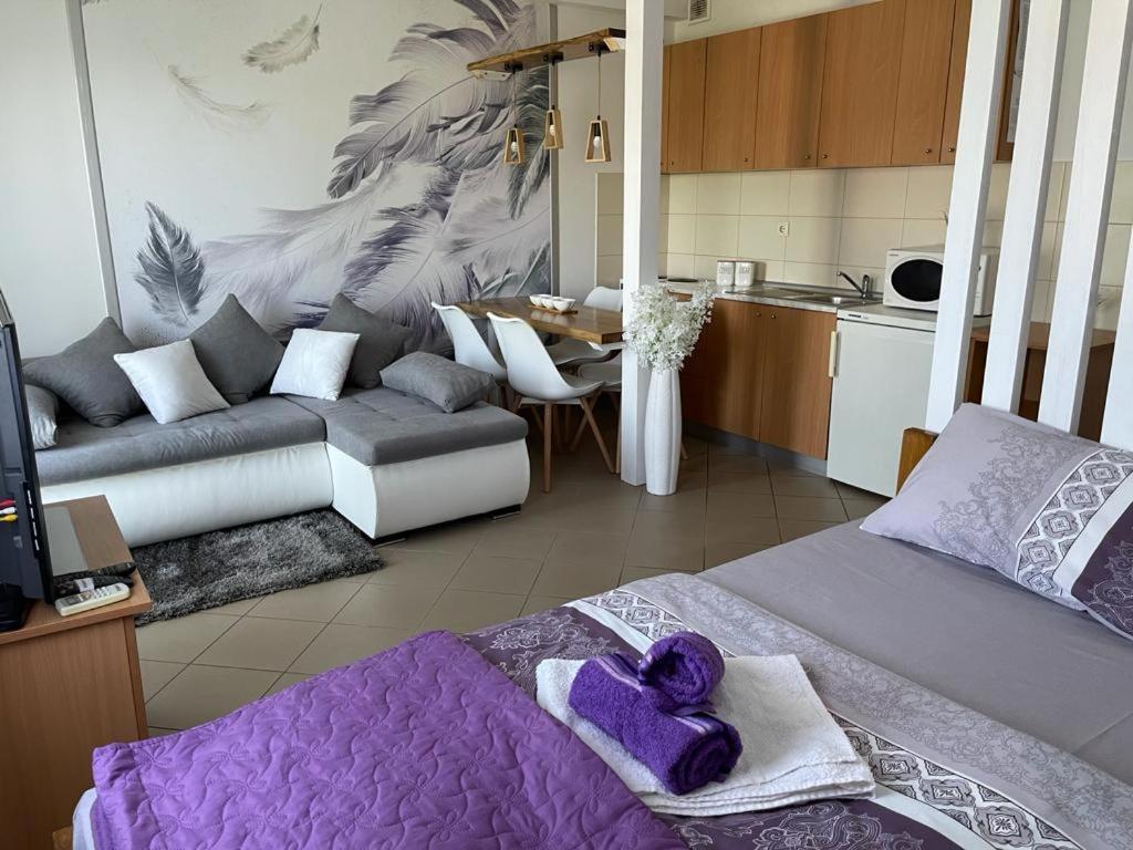Apartman Lukić Banja Koviljača Zewnętrze zdjęcie